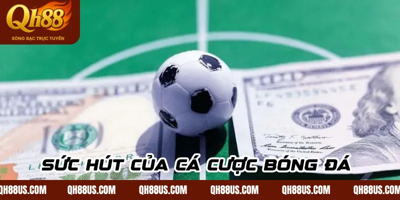 Bước vào vũ trụ cá cược sân cỏ đỉnh cao chỉ có tại QH88